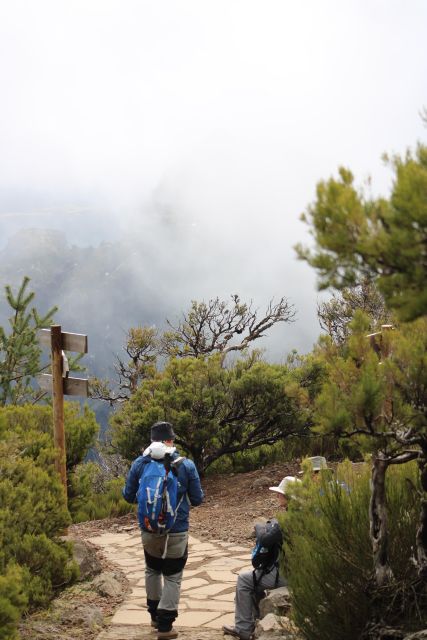 Private - Gastro Hike with Levada Walk and Local Food - Why this Levada + food day feels different than most tours