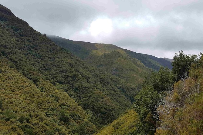 Private Guided Walk Levada 25 Fontes - Stop 25 Fontes and Cascada da Risco: waterfalls, lagoon, and cold-water show-offs