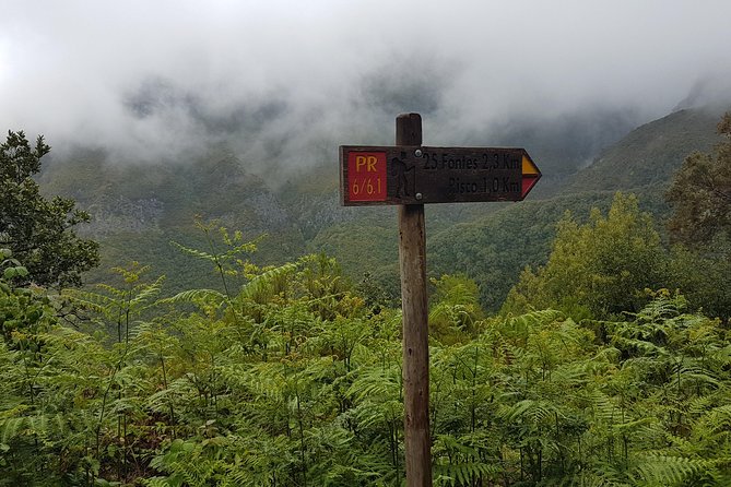 Private Guided Walk Levada 25 Fontes - Birdlife, endemic flora, and the small details worth watching