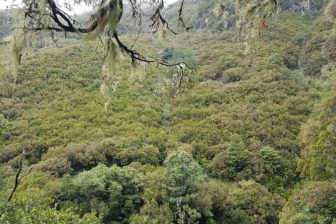 Private Guided Walk Levada 25 Fontes - What to wear and bring for weather-anytime hiking