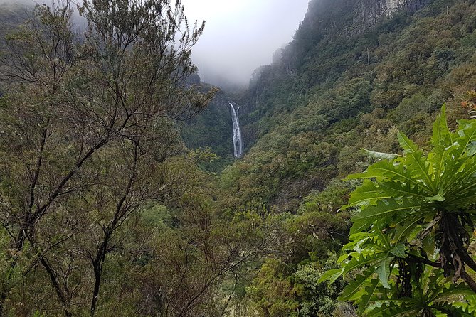 Private Guided Walk Levada 25 Fontes - Price and value: what $107.84 per person really covers