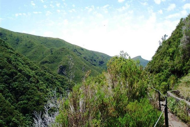 Private Guided Walk Levada 25 Fontes - A guided walk with a local leader (and the Mario factor)