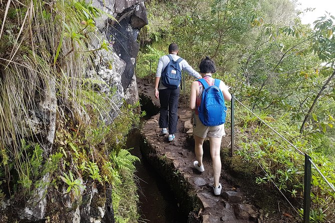 Private Guided Walk Levada Caldeirao Verde - VIP Guide Energy: The Real Difference in a Private Tour