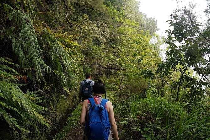 Private Guided Walk Levada Caldeirao Verde - Price and Value: Is $108.02 Per Person Fair?