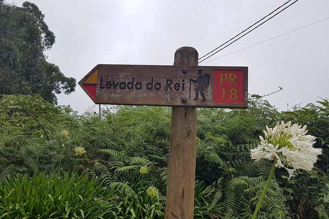 Private Guided Walk Levada do Rei - Vegetation, views, and the levada’s two-world story
