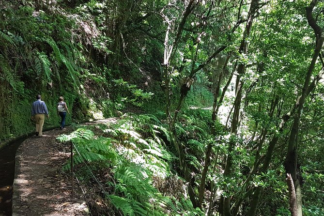Private Guided Walk Levada do Rei - What’s included (and how that affects your budget)