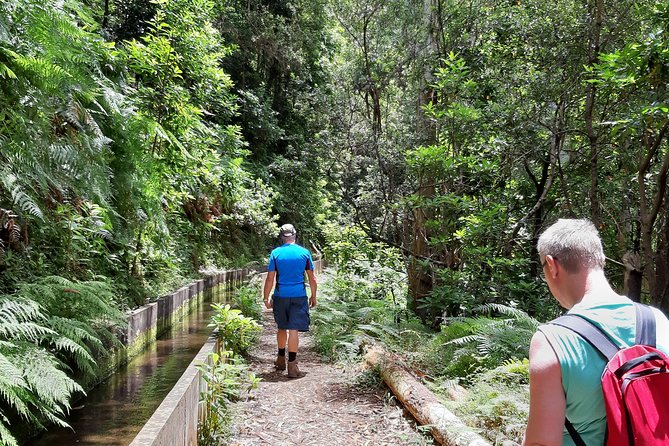 Private Guided Walk Levada Faja dos Rodrigues half-day - Quick Hits (Before You Lace Up)