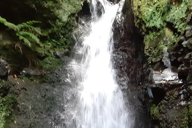 Private Guided Walk Levada Faja dos Rodrigues half-day - Price and Value: Is $108.45 Worth It?