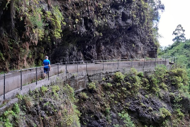 Private Guided Walk Levada Faja dos Rodrigues half-day - The Walk Along the Levada: Flora, Bird Song, and Tunnel Smarts