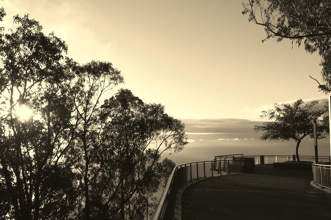 Private Half-Day Morning 4x4 Tour from Funchal - Guides make the difference: names, style, and how to get more out of the route
