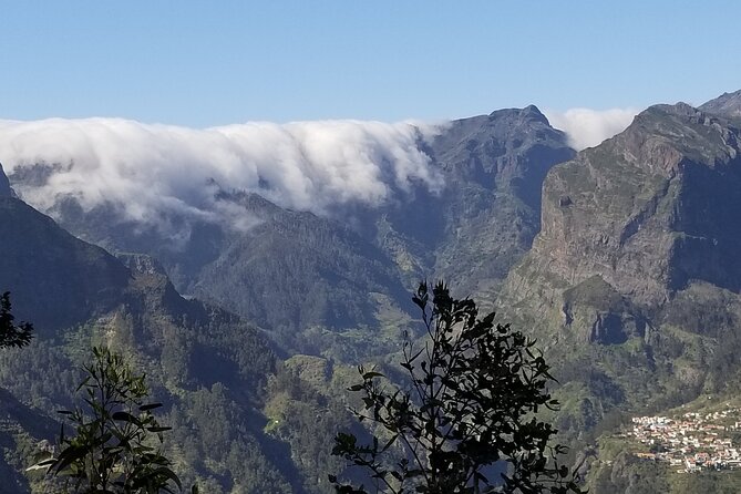Private Half Day Off Road Tour in Madeira - The Vineyards of Estreito and Terraces You Can Actually See