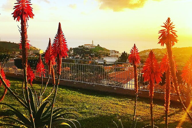 Private Half day tour around Madeira Island - Who this tour fits best (and who should think twice)