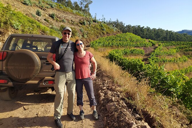 Private Half-Day Tour of Wine Fields in Portugal - Key highlights at a glance