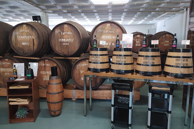 Private Half-Day Tour of Wine Fields in Portugal - Weather and comfort: the parts you can plan for