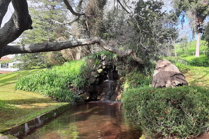 Private Halfday Flower Palheiro Gardens Tour - Pickup across Madeira means you don’t waste time finding the start