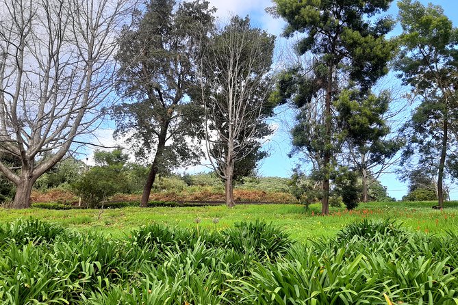 Private Halfday Flower Palheiro Gardens Tour - Price and value: is $108.37 per person a fair deal?