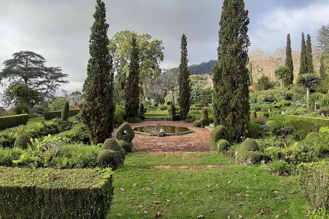 Private Halfday Flower Palheiro Gardens Tour - Hortensia Garden tea-house breaks and the famous apple pie