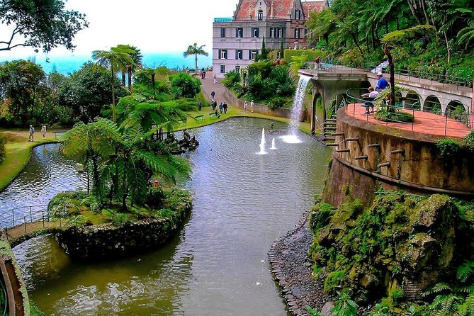 Private Halfday Madeira Garden Tour - A private half-day garden swap in Funchal: the real appeal