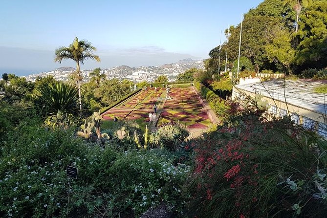 Private Halfday Madeira Garden Tour - Getting picked up and moving fast (without the Funchal puzzle)