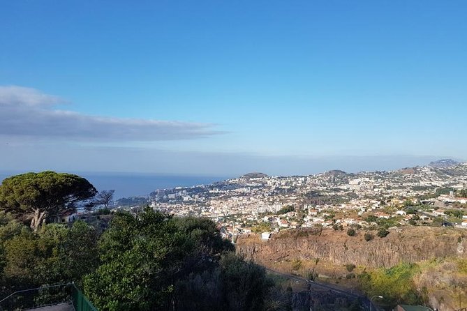 Private Halfday Madeira Garden Tour - Price and value: is $142.30 per person fair?