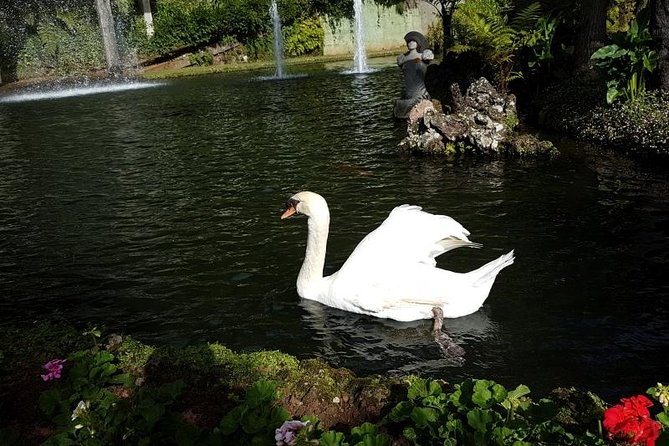 Private Halfday Madeira Garden Tour - Timing, walking, and what to wear on a Madeira garden route
