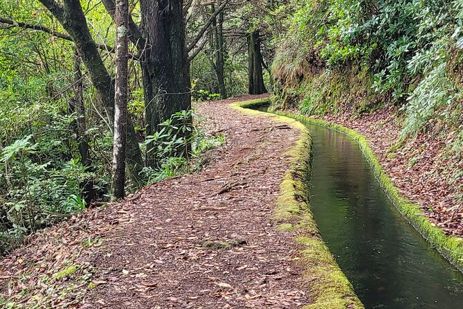 Private Jeep 4x4 : Madeira beyond the ordinary - Price and value: $361.44 per group can be a steal—or pricey