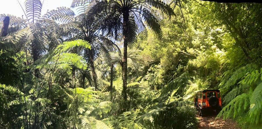 Private Jeep Tour Santana to East-Side - Price and value: $412 per group up to 6