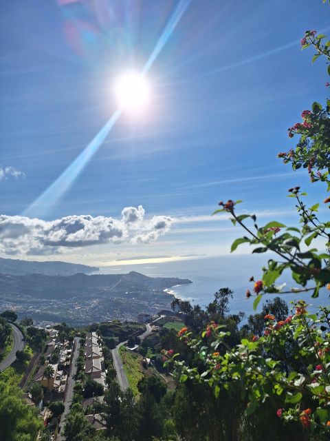 Private Madeira Highlights Full Day Tour - São Vicente: poncha and wine tasting with a local break