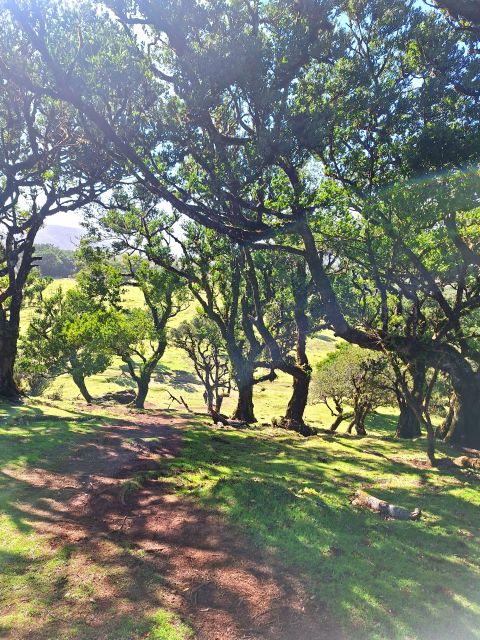 Private Madeira Highlights Full Day Tour - Véu da Noiva viewpoint: a quick photo stop with big payoff potential