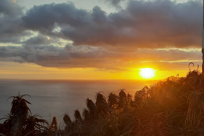 Private Madeira Sunset Cristo Rei Tour - Who this private Cristo Rei sunset tour fits best