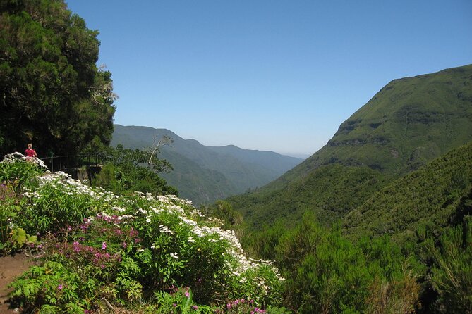 Private Madeira tour 8 people - Pickup, meeting time, and how to keep the day smooth