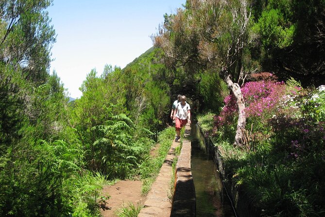 Private Madeira tour 8 people - What you get in the minivan: included comfort, with a couple of trade-offs