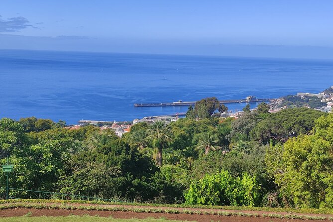 Private Sidecar Tour – Downtown Funchal for 1 or 2 People - Why Private Sidecar Time Feels Different