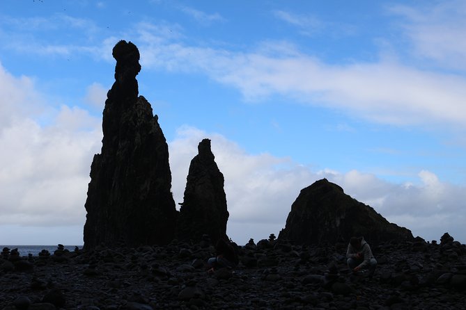 Private Small Group Full Day 4x4 Tour in Northwest Madeira - Fanal and Ribeira da Janela: dramatic viewpoints with a local-road feel