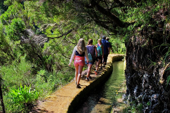 Private Small Group Full Day 4x4 Tour in Northwest Madeira - Porto Moniz natural swimming pools: the one stop you plan around