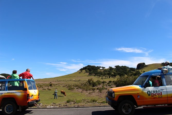 Private Small Group Full Day 4x4 Tour in Northwest Madeira - The return route: the skywalk and golden-hour light