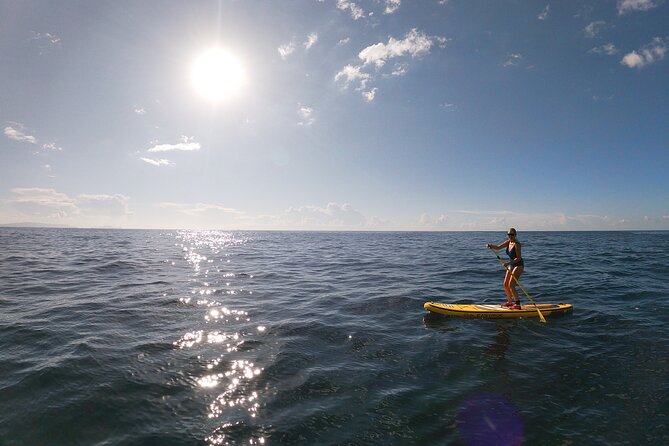 Private Stand Up Paddle Tour in Câmara de Lobos - Cabo Girão viewpoint: the cliff that makes the photos make sense