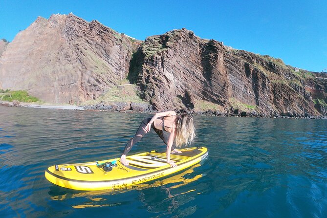 Private Stand Up Paddle Tour in Câmara de Lobos - Price and value: is $66.40 a good deal for a private SUP?