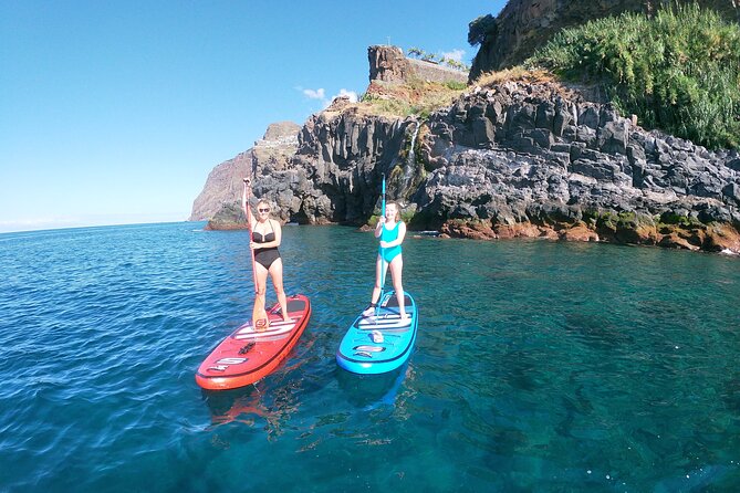 Private Stand Up Paddle Tour in Câmara de Lobos - SUP time on clear water: why standing changes everything