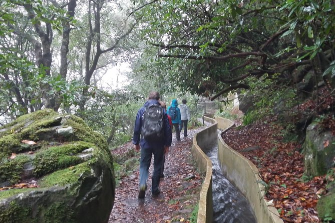 Private Sunrise Guided hike on Pico do Areeiro or other custom - Price and value: what you’re paying for (and what’s extra)