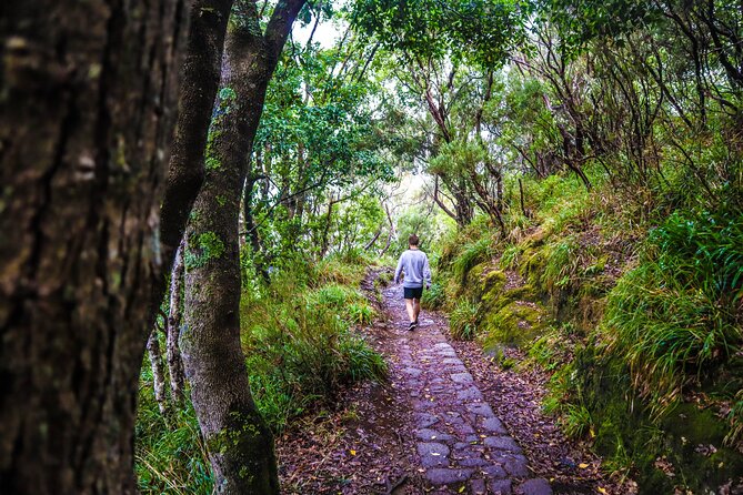 Private Sunrise Pico do Areeiro Half Day with easy levada walk - Guides, off-road know-how, and the calm confidence of a private group