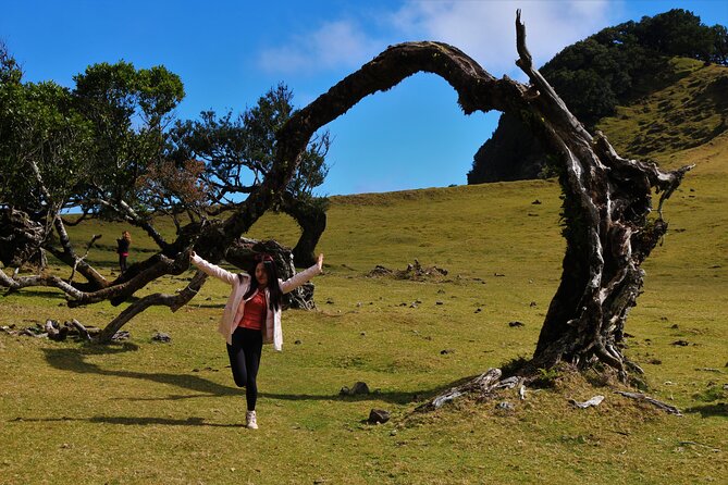 Private Tailored tour to the West in a 4WD. No shared groups! - Posto Florestal Fanal: moody trees and a quieter Madeira