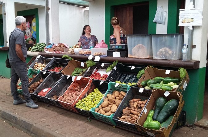 Private Tour Half-day Typical Market - Private Tour Value: Is $217.67 a Good Deal?