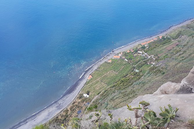 Private Tour Halfday South Madeira - Who This Tour Fits Best (and Who Should Rethink)
