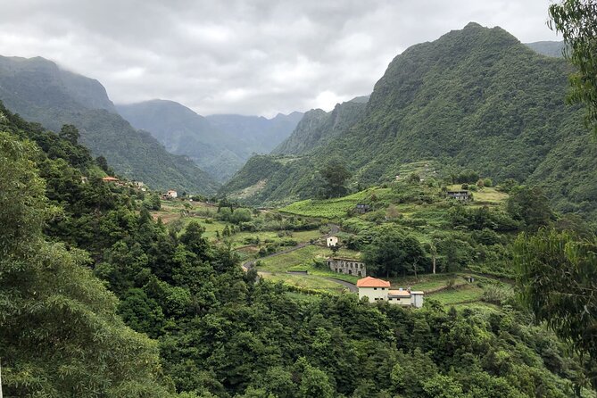 Private Tour North Madeira - Optional Lunch: Simple Choice, Not a Big Plan