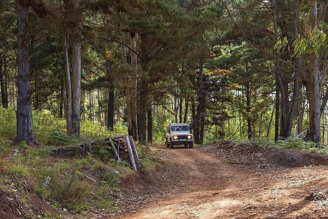 Private Tour: Nun's Valley & Sea Cliff - Half Day Jeep Tour - Why a half-day jeep + levada format makes sense on Madeira