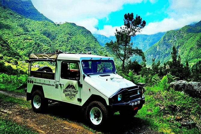 Private Tour on Madeira Island (max 6 people) - Laurissilva Forest: your UNESCO start, no ticket stress