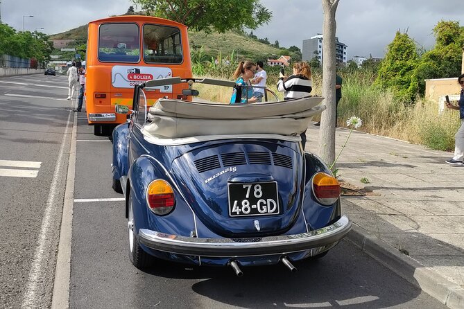 Private Tour: Regional Road Drive with Stunning Views and Poncha Drink Tasting - Who this tour fits best (and who might prefer something else)