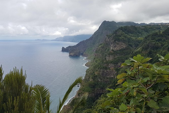 Private Tour The Biosphere Santana - Santana: a UNESCO Biosphere setting with classic green-and-blue views