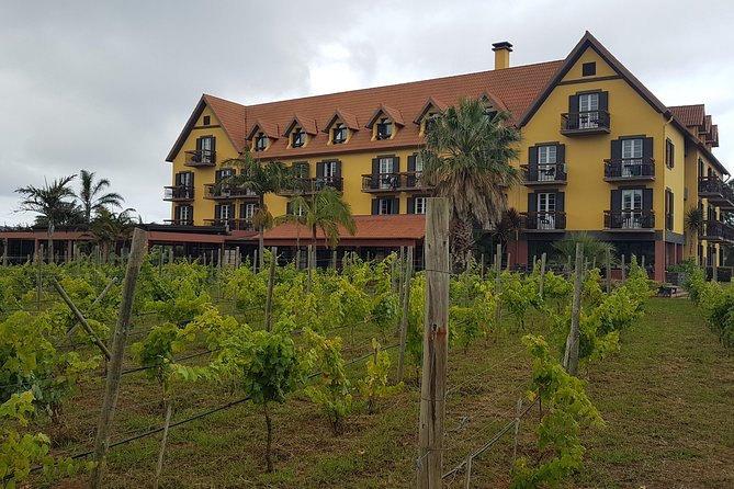 Private Tour The Biosphere Santana - Pickup and timing: saving your energy on Madeira